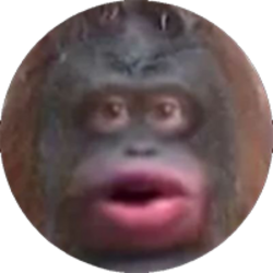 Monke Coin